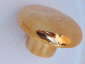 Solid Brass Mushroom Knob